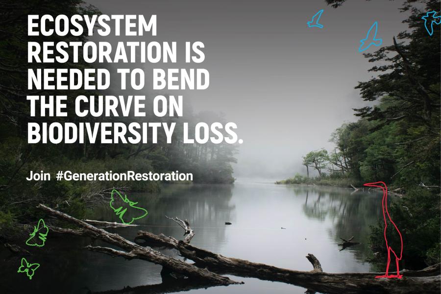 UN Decade On Ecosystem Restoration | United Nations In Malaysia ...